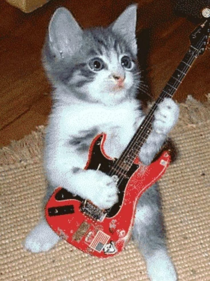 image of a sick ass cat playing guitar